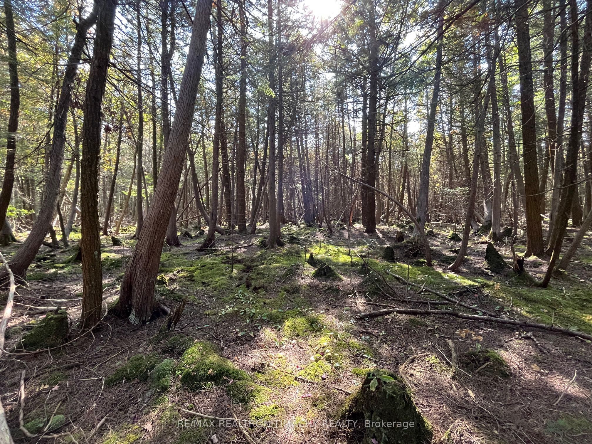 Additional image 2 of Lot 25 Champlain Road, Tiny, ON, L9M 0C3