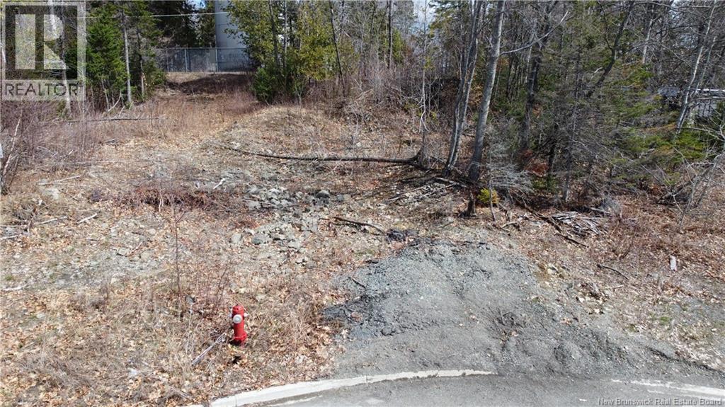 Additional image 4 of 0 Riverview Crescent, Woodstock, NB, E7M1L3