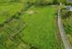 Additional image 52 of Bwlchllan, Lampeter, SA48