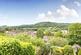Additional image 3 of Pine Grove, Honiton, Devon, EX14
