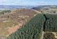 Additional image 11 of Ayton  Hill Forest, Near Aberargie, Perthshire PH2
