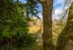Additional image 44 of Riverside Road, Eaglesham, Glasgow, East Renfrewshire
