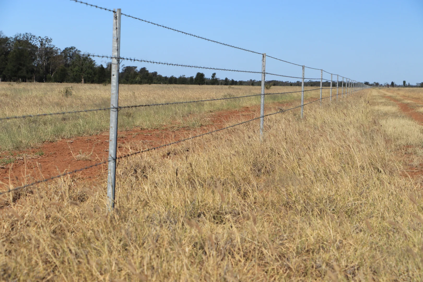 Additional image 7 of Roma QLD 4455