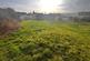 Additional image 39 of Heol Y Meinciau, Pontyates SA15
