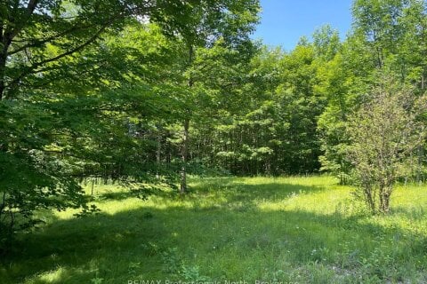 Additional image 7 of 0 Glamor Lake Road, Highlands East, ON, K0M 1R0