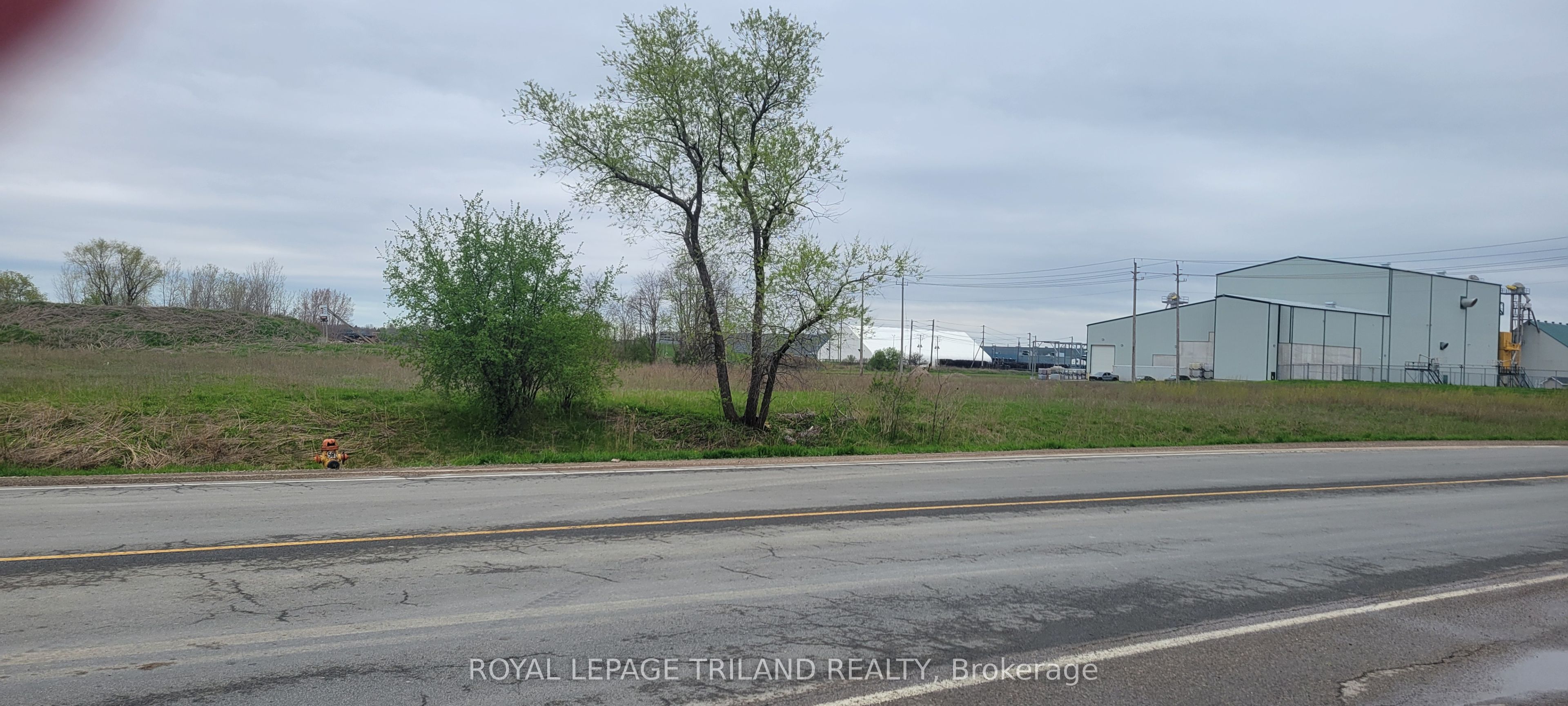 265 Edward Street, St. Thomas, ON, N5P 4A9 photo 2