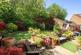 Additional image 22 of Blythe Close, Enham Alamein, Andover, SP11 6HX