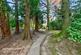 Additional image 10 of Elizabeth Drive, Banstead