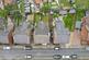 Additional image 2 of George Street, Sandbach CW11