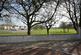 Additional image 25 of Wellstood Court, Bonnybridge, FK4