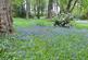 Additional image 21 of Derwent Hill, Springhouse Lane, Ebchester, County Durham