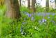 Additional image 35 of Andrew Lane, Stockport, SK6
