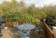 Additional image 11 of Seaview Avenue, CO5