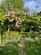 Additional image 14 of Cottered, Buntingford, Hertfordshire