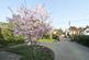 Additional image 30 of The Avenue, Clevedon