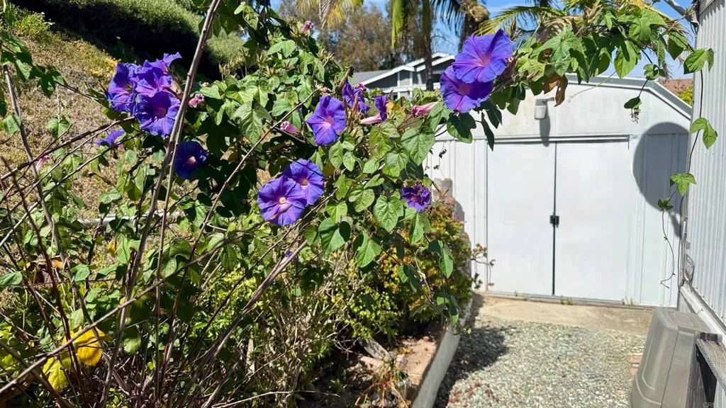 Additional image 30 of 444 N El Camino Real Street Unit 129, Encinitas, CA 92024