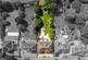 Additional image 25 of Cherry Garden Lane, Kent CT19