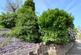 Additional image 25 of High Lane, Tunstall, Stoke-on-Trent