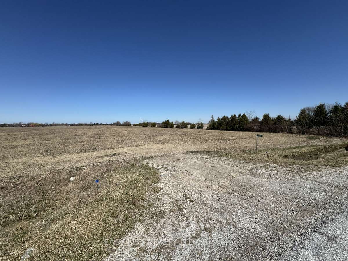 301 Road 11 N/a, Kingsville, ON, N0R 1V0
