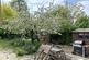 Additional image 23 of Chestnut Rise, Burwell.
