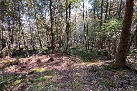 Additional image 7 of Lot 25 Champlain Road, Tiny, ON, L9M 0C3