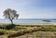 Additional image 8 of La Grande Route De La Cote, St. Clement, Jersey
