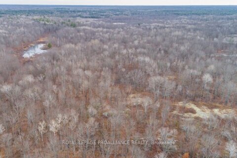 Additional image 8 of 1446 Flinton Road, Tweed, ON, K0H 1P0