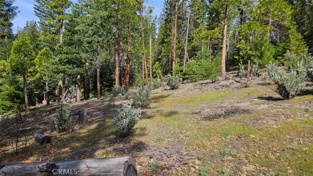 Additional image 65 of 46336 Silvertip Way, North Fork, CA 93643