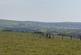 Additional image 8 of Llansawel, Llandeilo