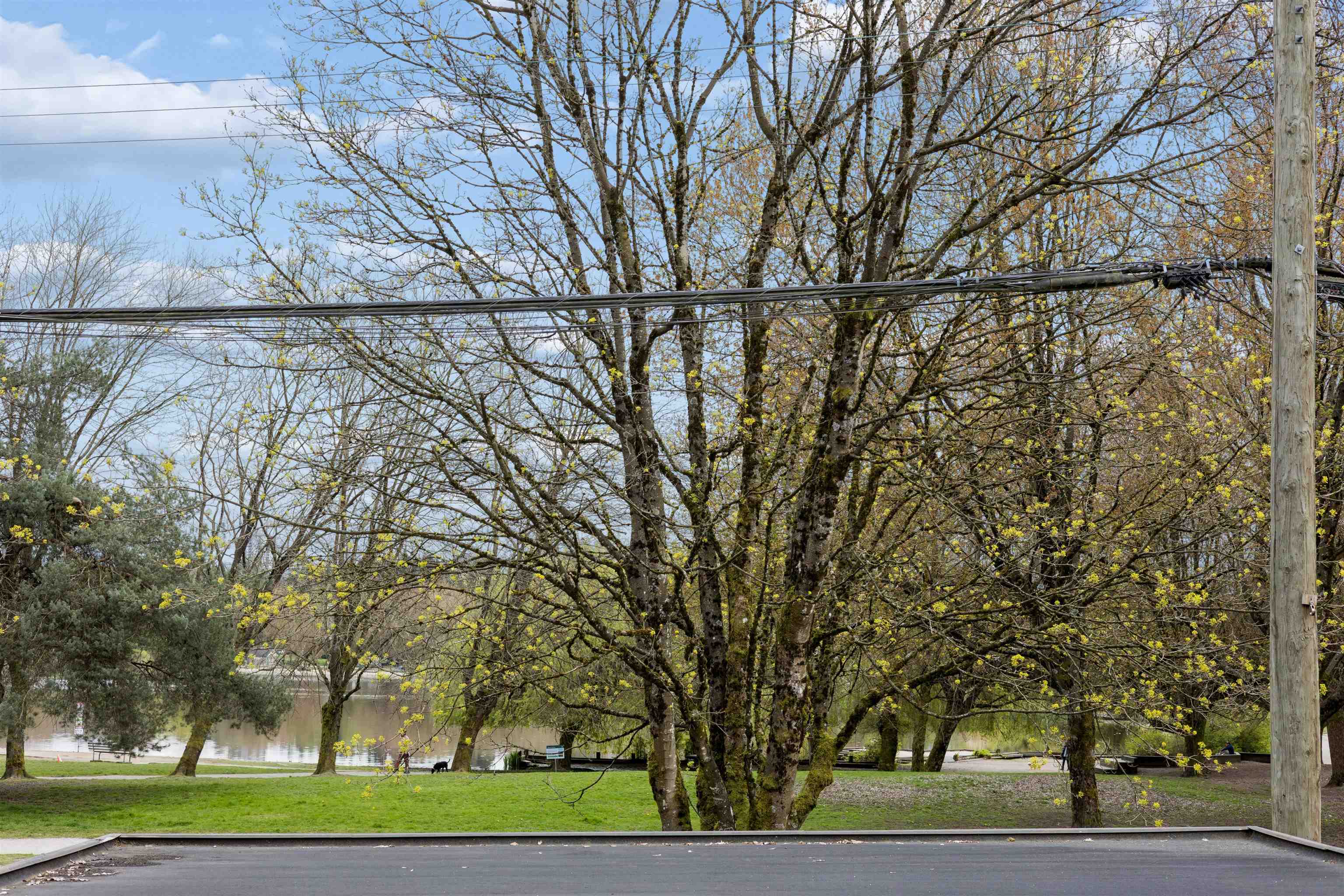 Additional image 3 of 2056 13th Avenue E, Vancouver, BC, V5N 2C4