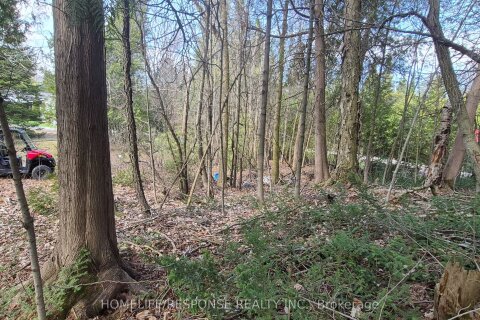Additional image 8 of 48 Waldweg N/a, Scugog, ON, L0B 1B0