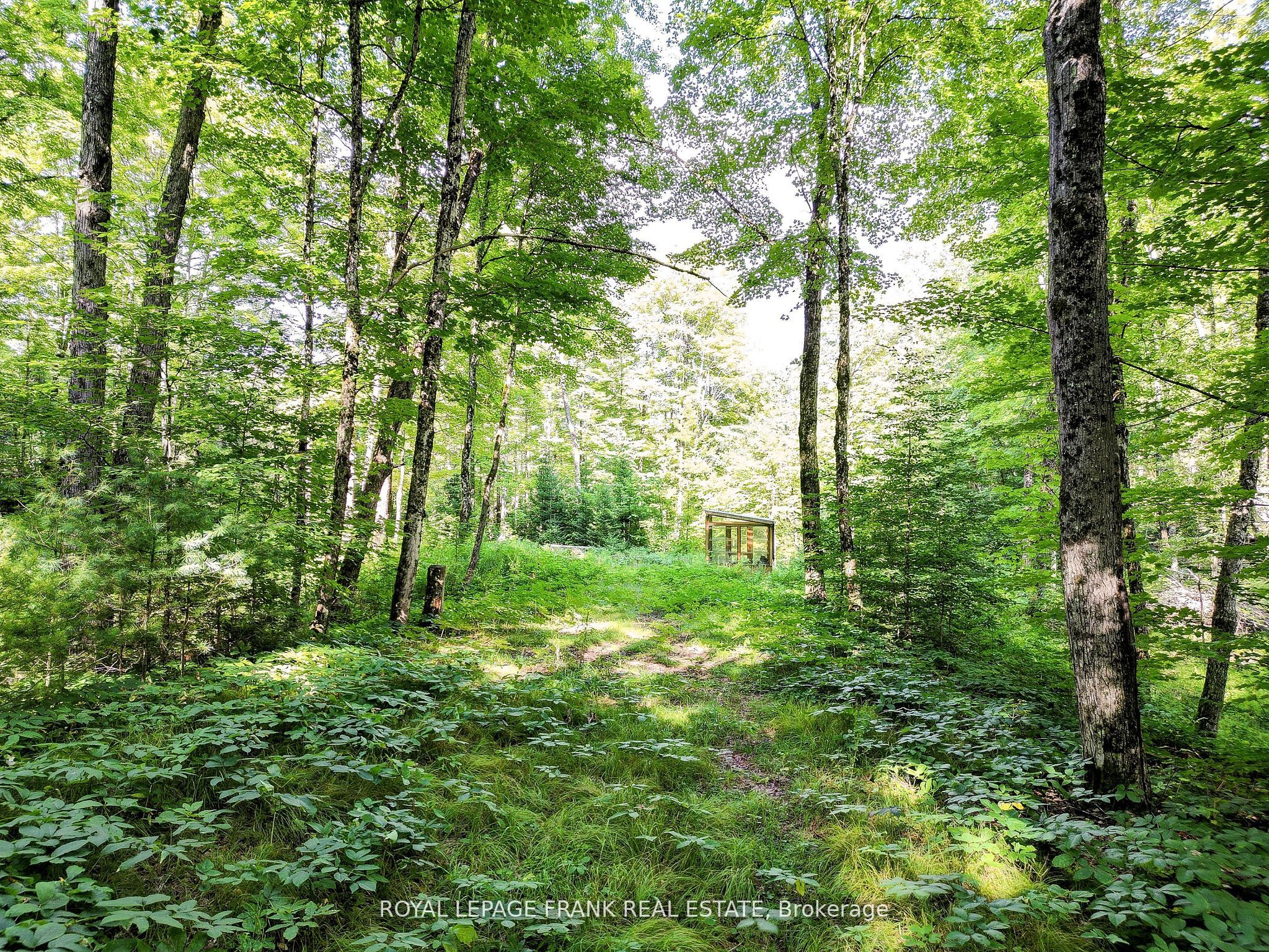 Additional image 5 of 843 Lasswade Road, North Kawartha, ON, K0L 1A0
