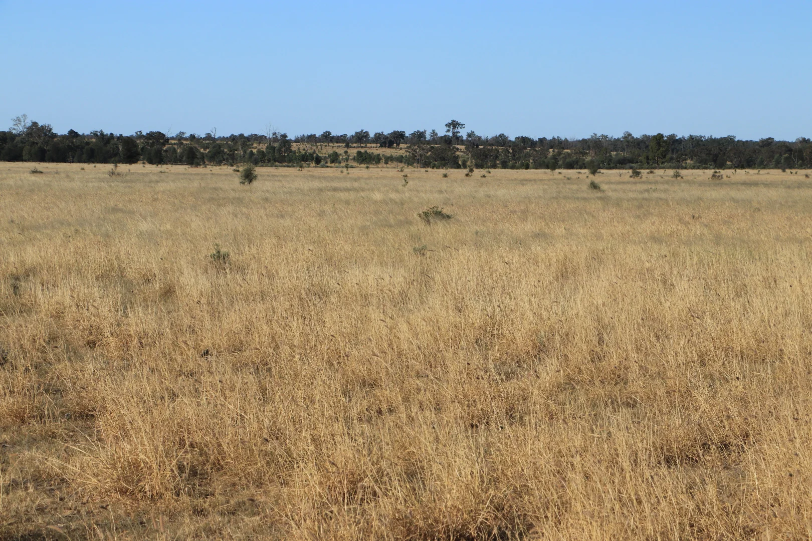 Additional image 3 of Roma QLD 4455