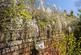 Additional image 24 of Nelson Gardens, Faversham
