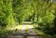 Additional image 17 of Green Lane, Rotherwick, Hook, Hampshire, RG27