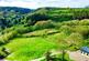 Additional image 24 of Gwernogle, Carmarthen, SA32