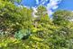 Additional image 25 of Plymtree, Cullompton EX15
