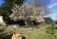 Additional image 17 of Moat Lane, Sedlescombe, TN33