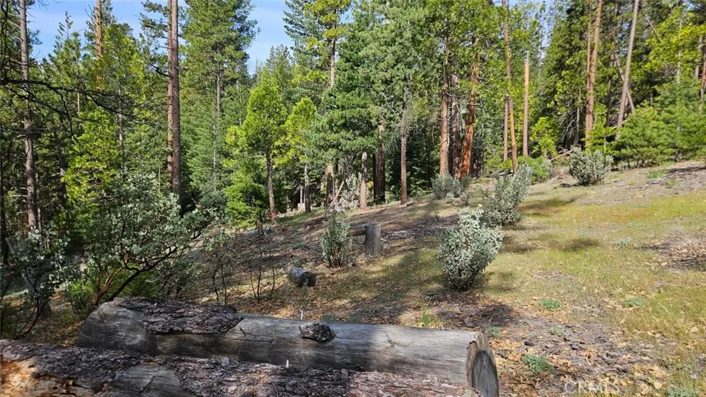 Additional image 66 of 46336 Silvertip Way, North Fork, CA 93643