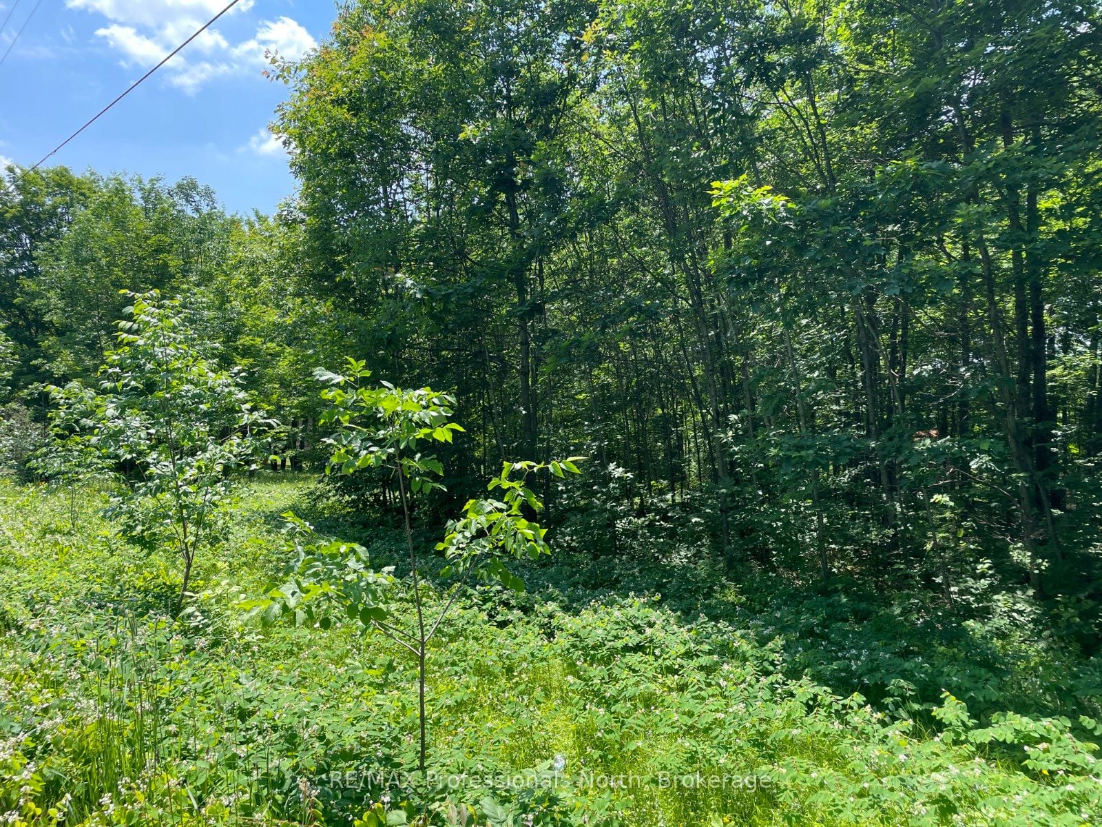 Additional image 4 of 0 Glamor Lake Road, Highlands East, ON, K0M 1R0
