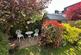 Additional image 13 of Heol Gouesnou, Brecon, LD3