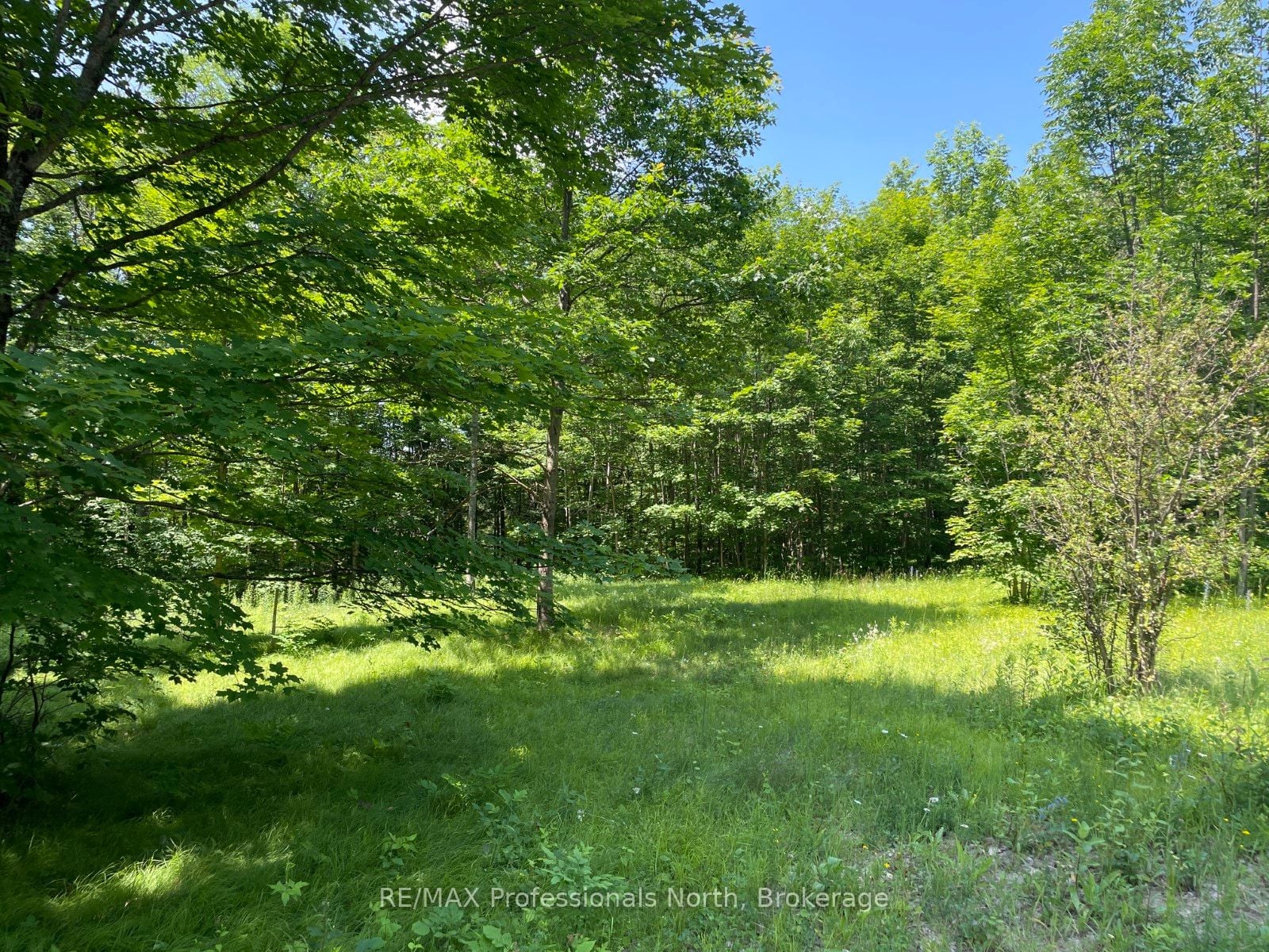 0 Glamor Lake Road, Highlands East, ON, K0M 1R0