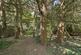 Additional image 14 of Ashcroft Park, Cobham, KT11