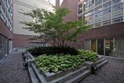 Additional image 3 of 210-11 St. Joseph Street, Toronto, ON, M4Y 3G4