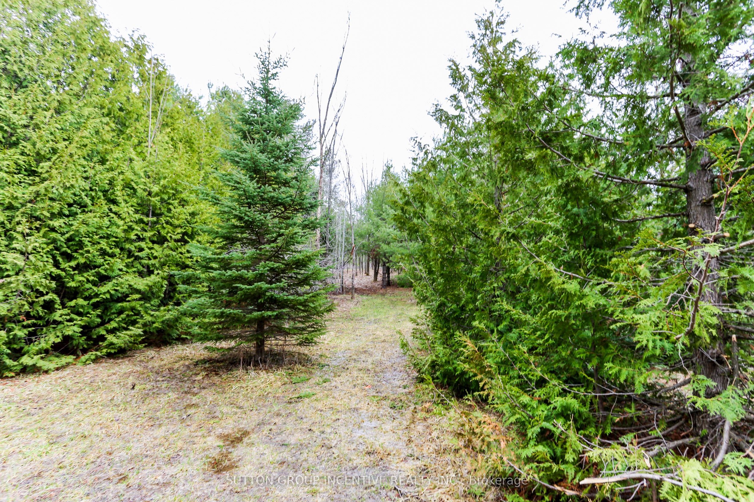 Additional image 6 of Part 4-2774 Old Second Road S, Springwater, ON, L9X 1P6