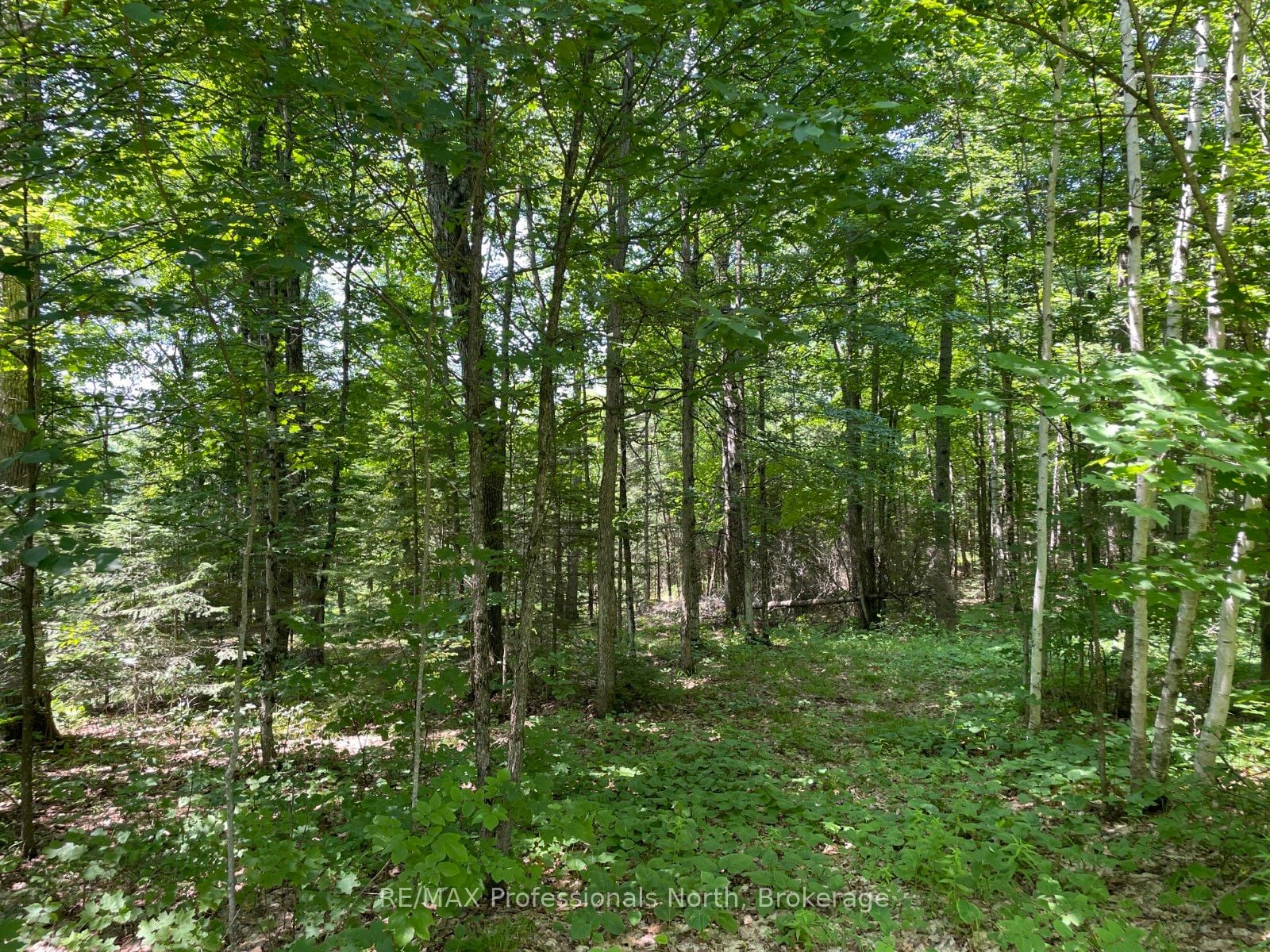 Additional image 6 of 0 Glamor Lake Road, Highlands East, ON, K0M 1R0