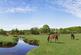 Additional image 12 of Hardy Close, New Milton, Hampshire, BH25