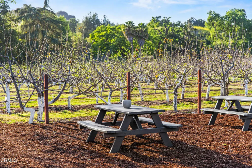 Additional image 89 of 2275 Alamo Pintado Road, Solvang, CA 93463