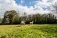 Additional image 4 of Pencader CARMARTHENSHIRE