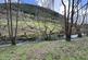 Additional image 3 of Corris, Machynlleth, Gwynedd, SY20